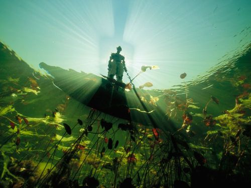 คนรัก national geographic