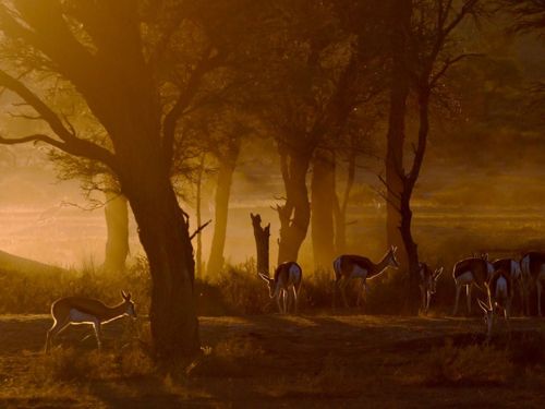 คนรัก national geographic