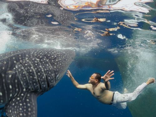 คนรัก national geographic