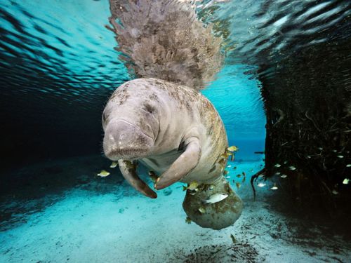 คนรัก national geographic