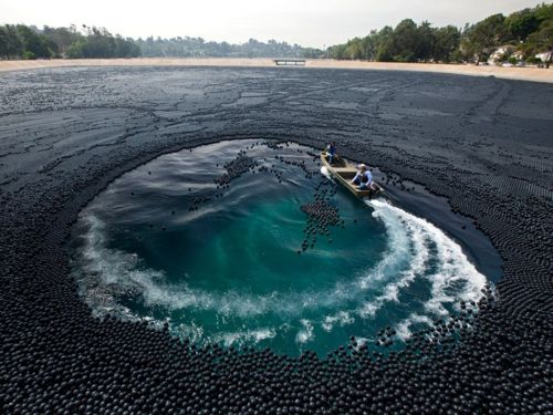 คนรัก national geographic