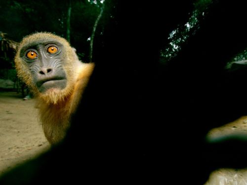 คนรัก national geographic