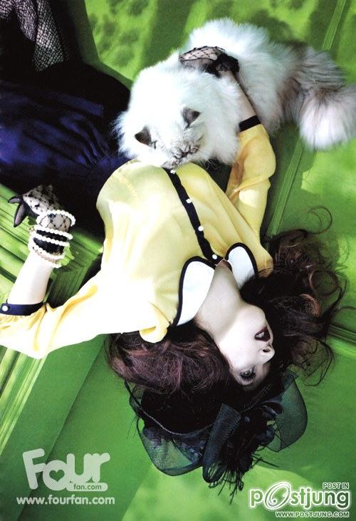 Four Doll