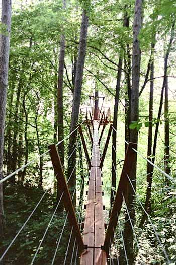 คนรักบ้านต้นไม้ 02 - Sophie&rsquo;s Terrace: Up In The Trees