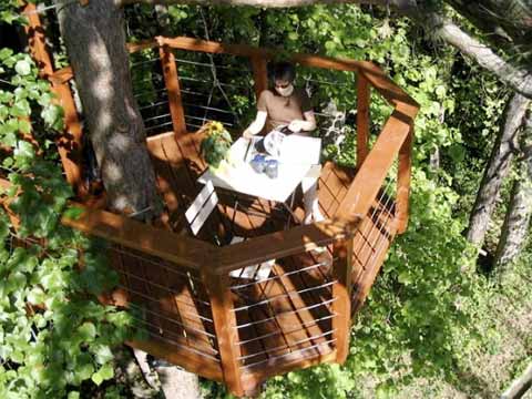 คนรักบ้านต้นไม้ 02 - Sophie&rsquo;s Terrace: Up In The Trees