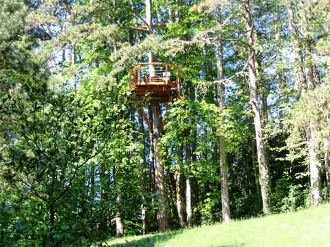 คนรักบ้านต้นไม้ 02 - Sophie&rsquo;s Terrace: Up In The Trees
