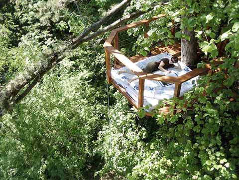 คนรักบ้านต้นไม้ 02 - Sophie&rsquo;s Terrace: Up In The Trees