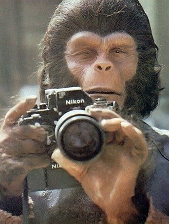 คนดังกับกล้องถ่ายรูป