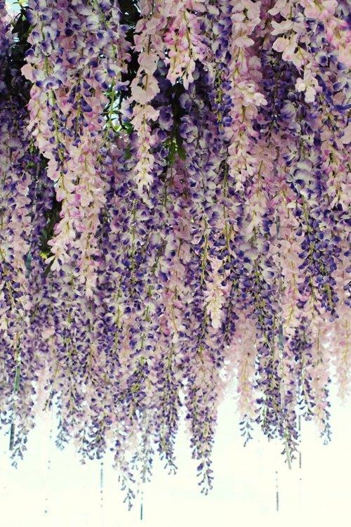 คนรัก รูปสวยชวนอาร์ต 11