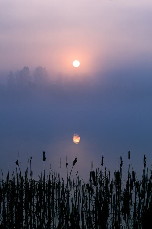 คนรัก รูปสวยชวนอาร์ต 11