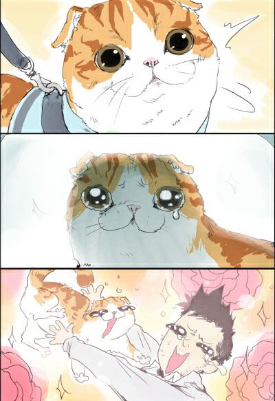 คนรัก แมว