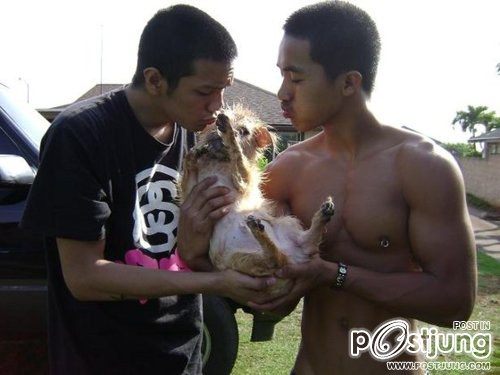 คนรักหนุ่มเซ็กซี่ 250