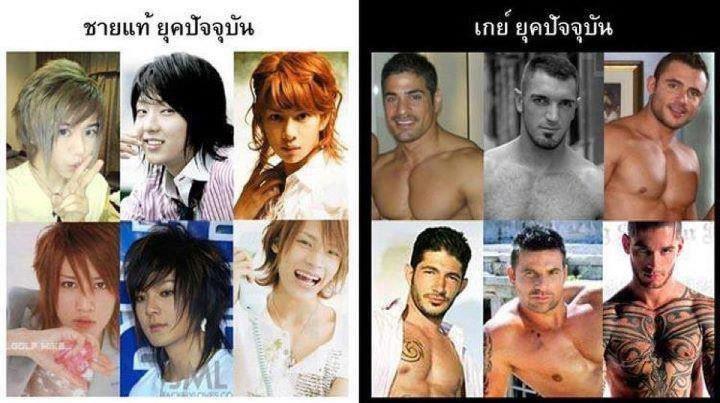 รวมความฮา แสนน่ารัก