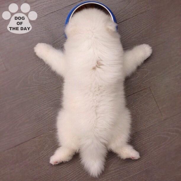ภาพสวย จาก Instagram