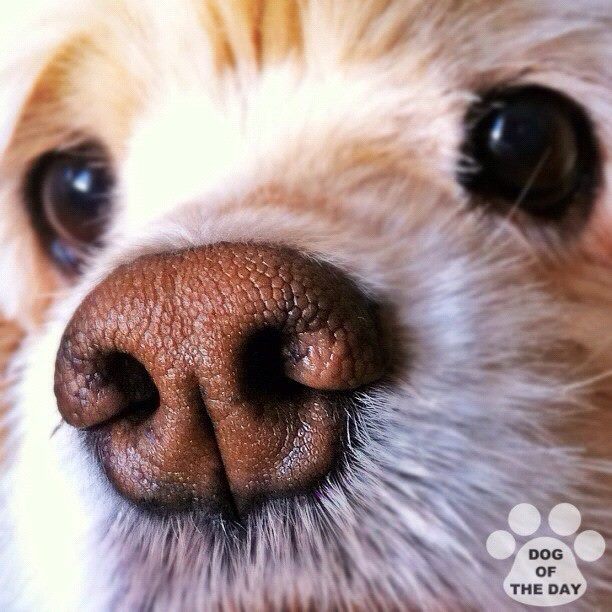 ภาพสวย จาก Instagram