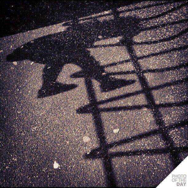ภาพสวย จาก Instagram
