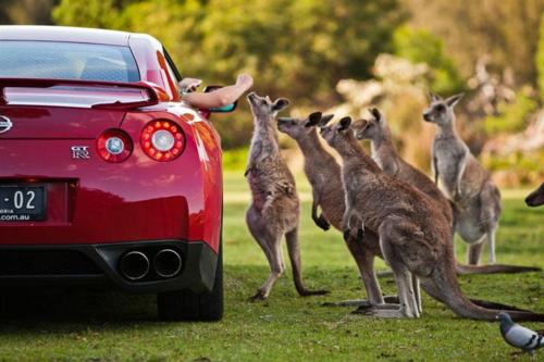 คนรัก รถNISSAN