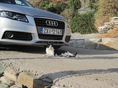 คนรัก รถAUDI