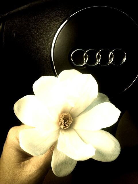 คนรัก รถAUDI