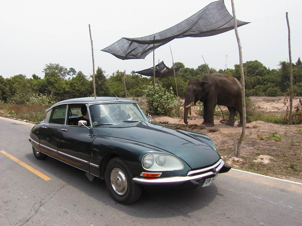 คนรัก รถCitroen