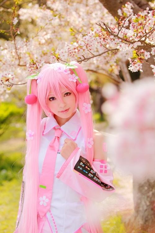 คนรัก สาวแต่งcosplay
