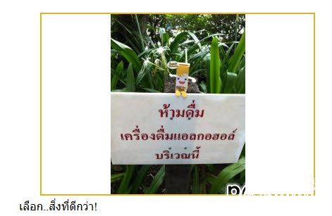 เมื่อกล่องนมเป็นมากกว่าทีคุณคิด