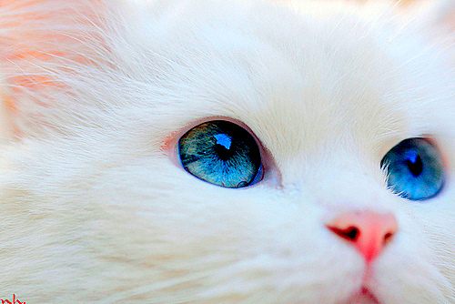 คนรัก รูปสวยชวนอาร์ต 12