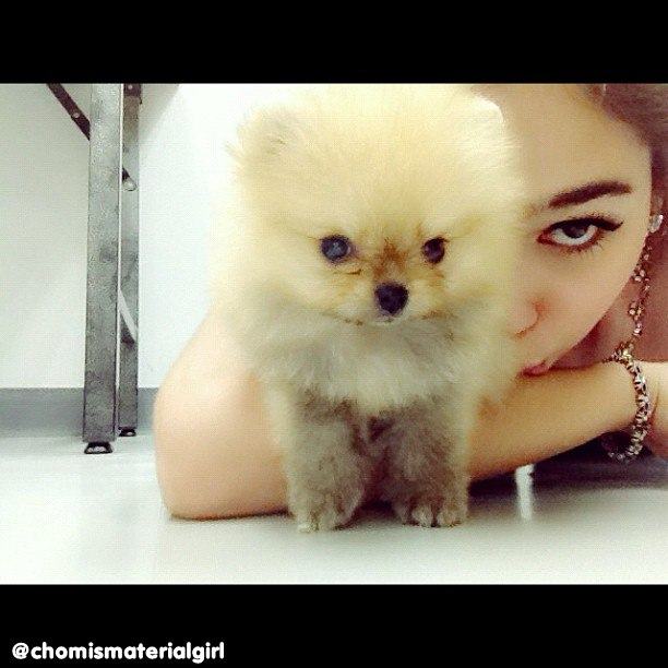 ชมพู่ อารยา ใน Instagram