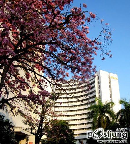 มารู้จัก..โรงพยาบาลสวนดอก คณะแพทยศาสตร์ มหาวิทยาลัยเชียงใหม่