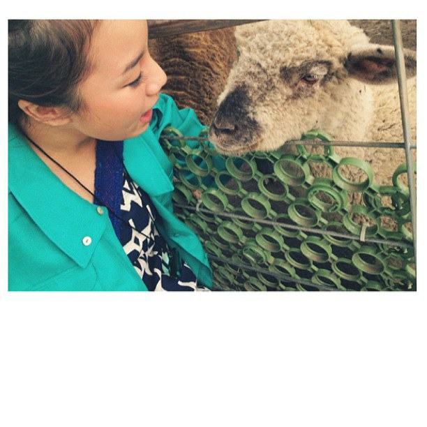 Instagram นท The Star7