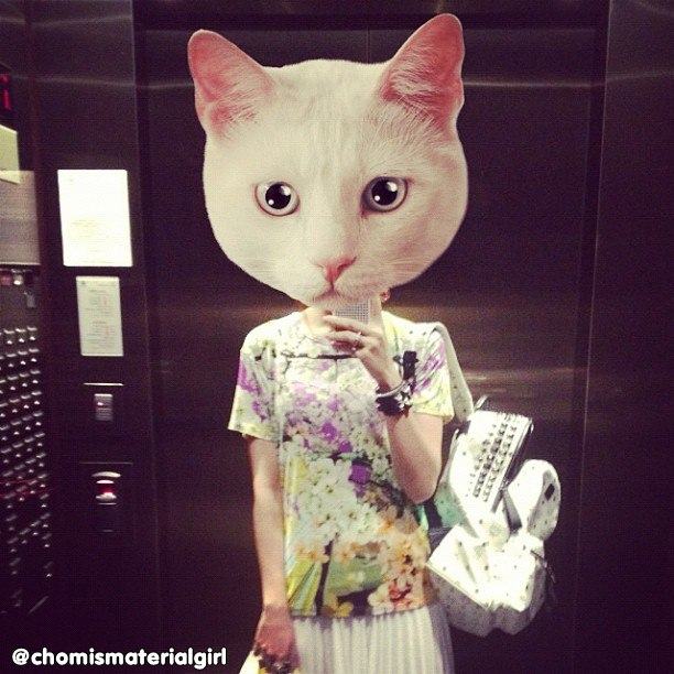 ชมพู่ อารยา จาก Instagram Update
