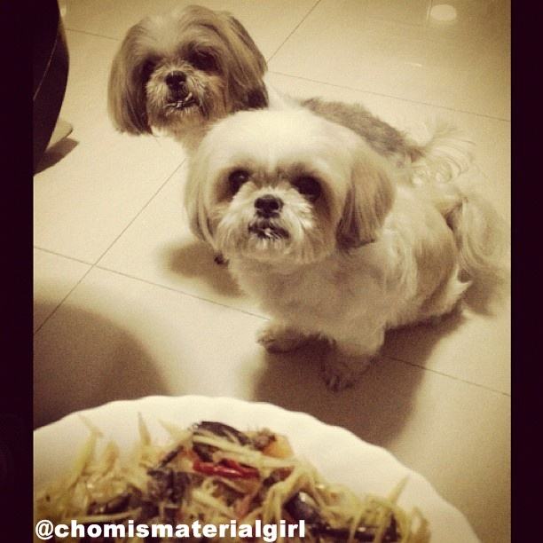 ชมพู่ อารยา จาก Instagram Update