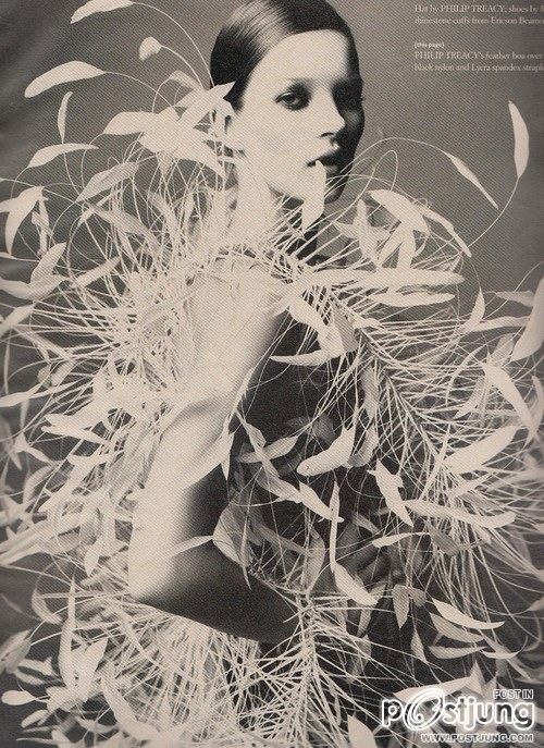 คนรัก Kate Moss