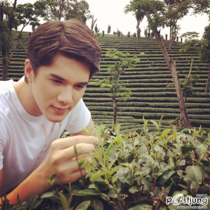 มิกส์ ทองระย้า