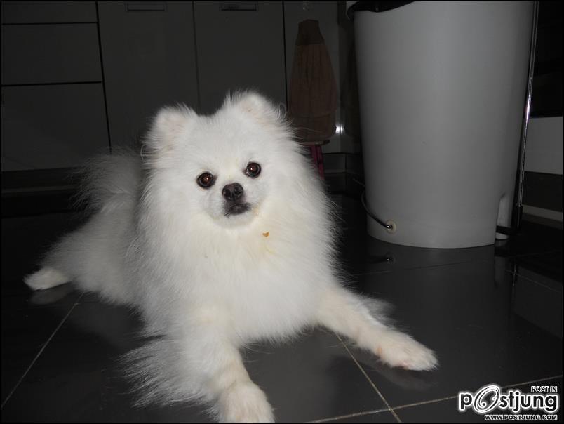 น้องสตางค์ ของ พี่อั้ม