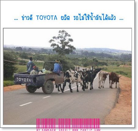 หวังศรีเจ้า