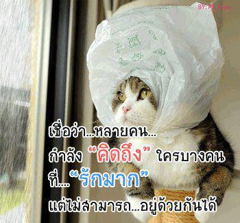 ฉันเจ็บ เธอเจ็บ เขาก็เจ็บ...