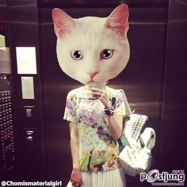 แฟชั่น ของ ARAYA A. HARGATE