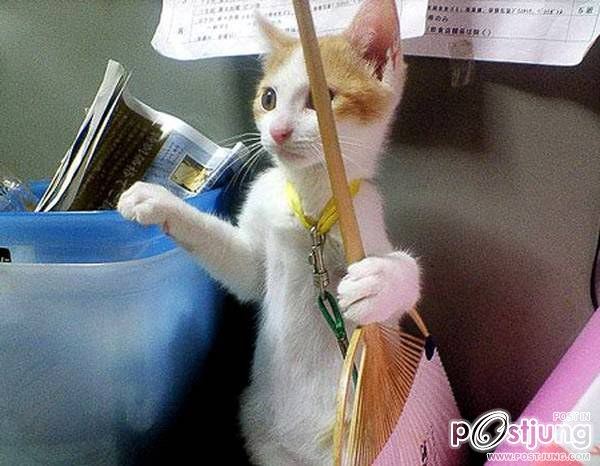 คลายเครียดหน่อยสิครับ