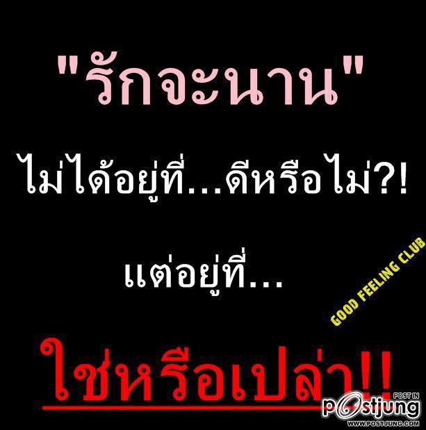 เธอตอบเเทนฉันด้วยความเสียใจ