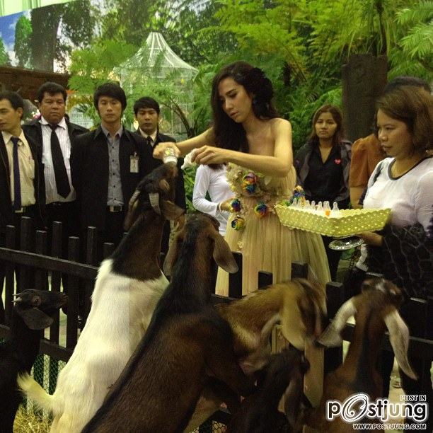 ยินดี กับ อั้ม พัชราภา ที่มีคน Follow อินสตาร์แกรม 600,000 คน [@aum_patchrapa]