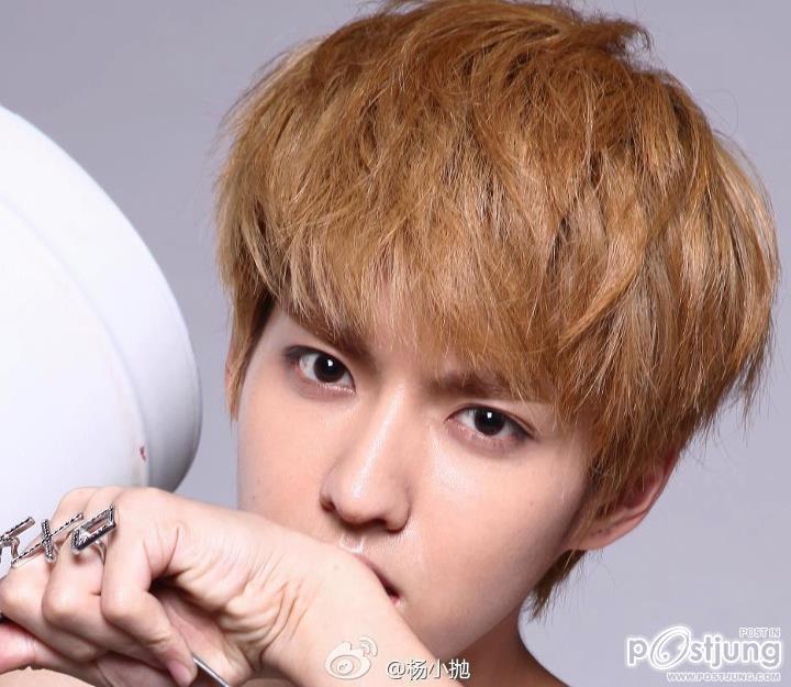 kris and lay exo-m