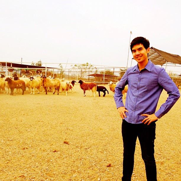 เต๋อ ฉันทวิทย์