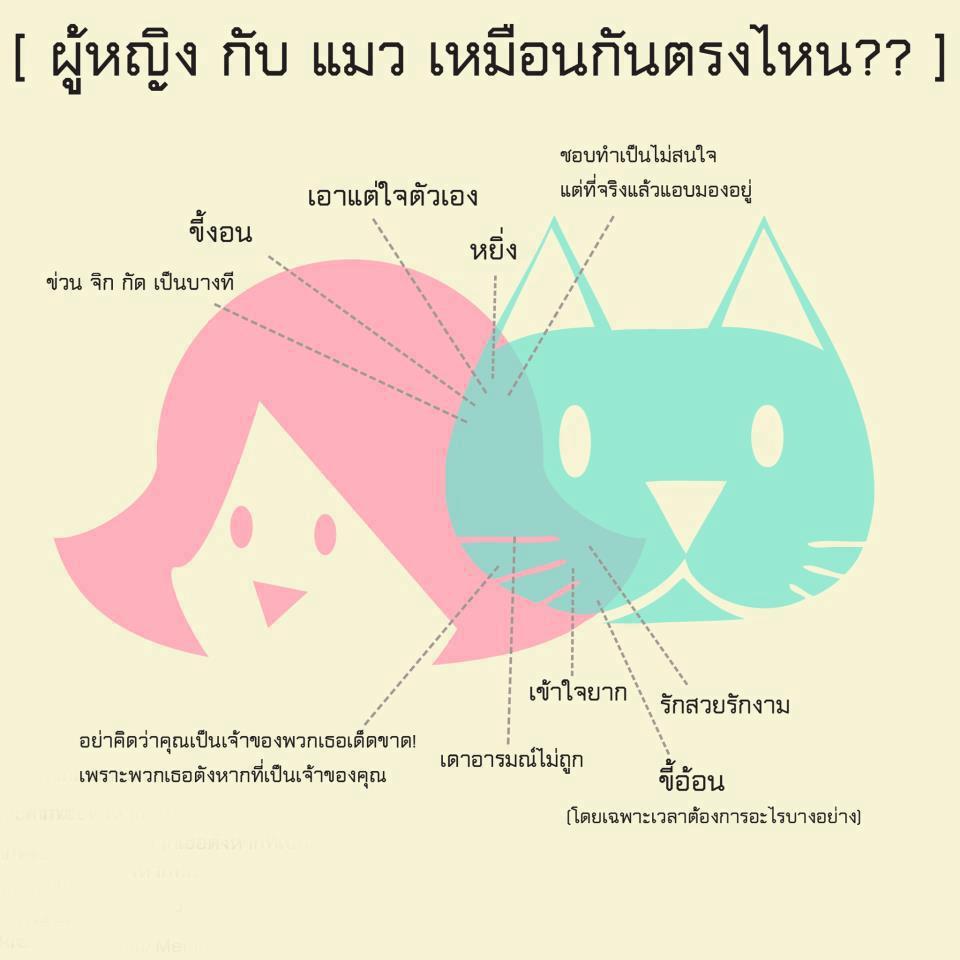 อะไร!!!