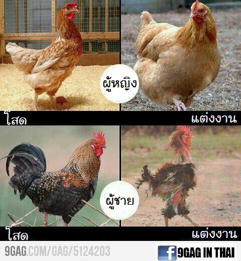 อะไร!!!