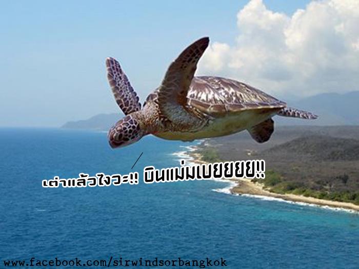 ท่านเซอร์ วินเซอร ณ พระนคร