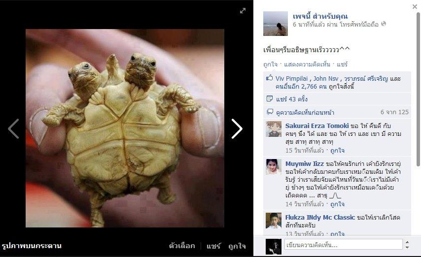 ท่านเซอร์ วินเซอร ณ พระนคร