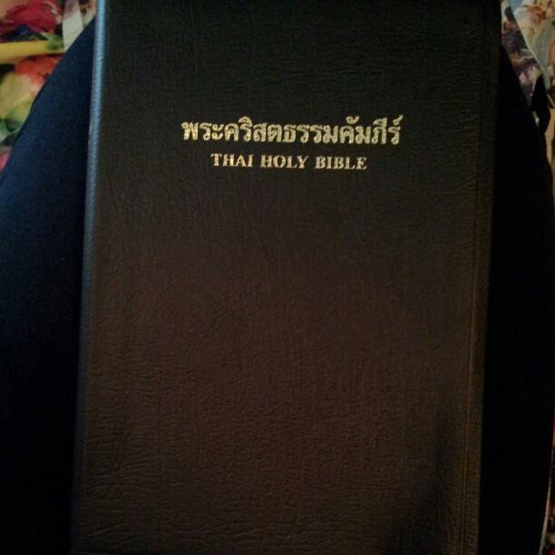 ปุ๊กลุ๊ก ฝนทิพย์