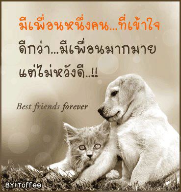 อ่านแก้เซ็ง