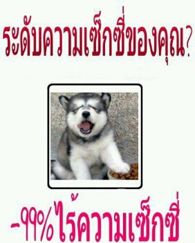 อ่านแก้เซ็ง